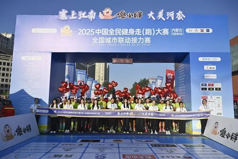 本次赛事由, MgHv