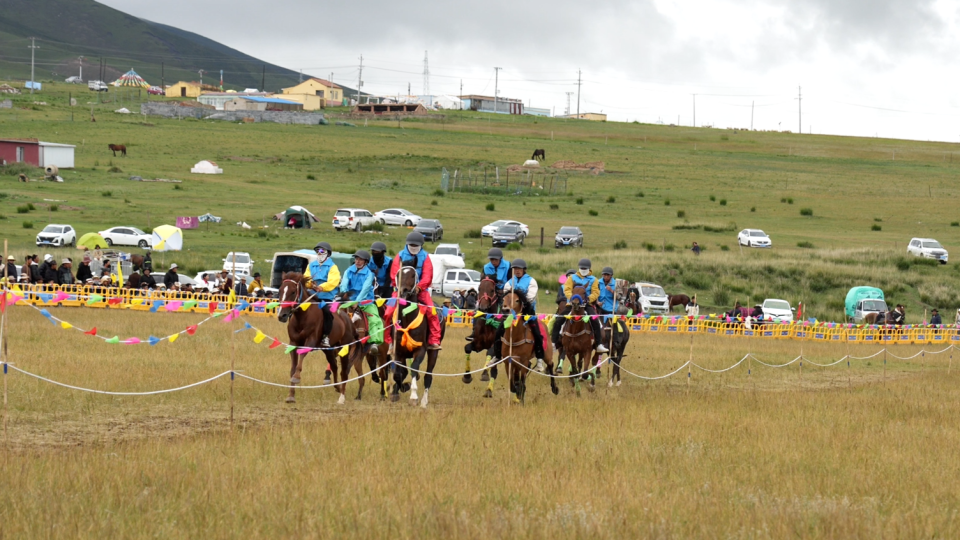 劳秀叶亥荣, 增长, 太荣获第二 劳秀叶亥荣, 增长, 太荣获第二