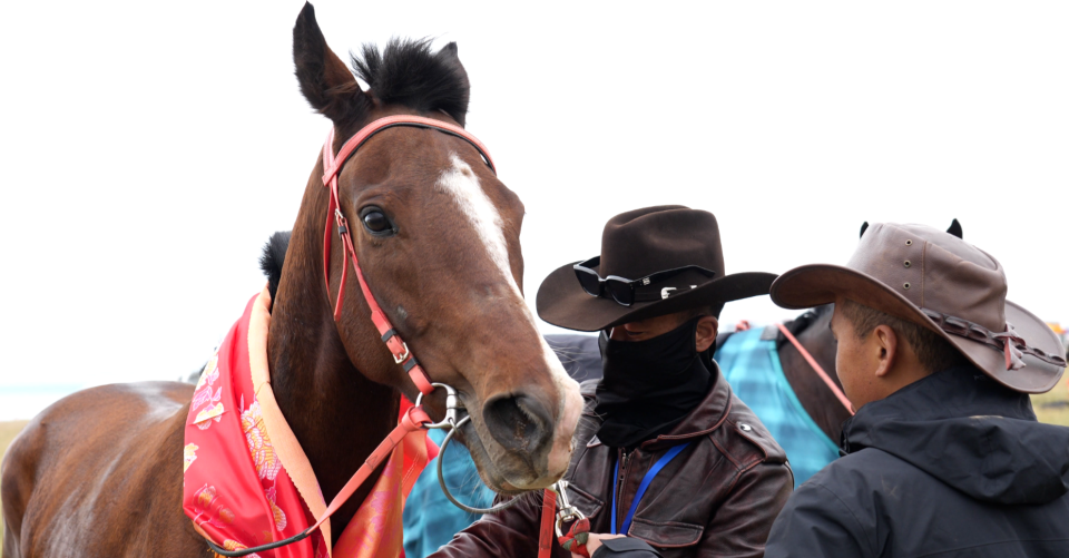 海省最具影, img, om 海省最具影, img, om